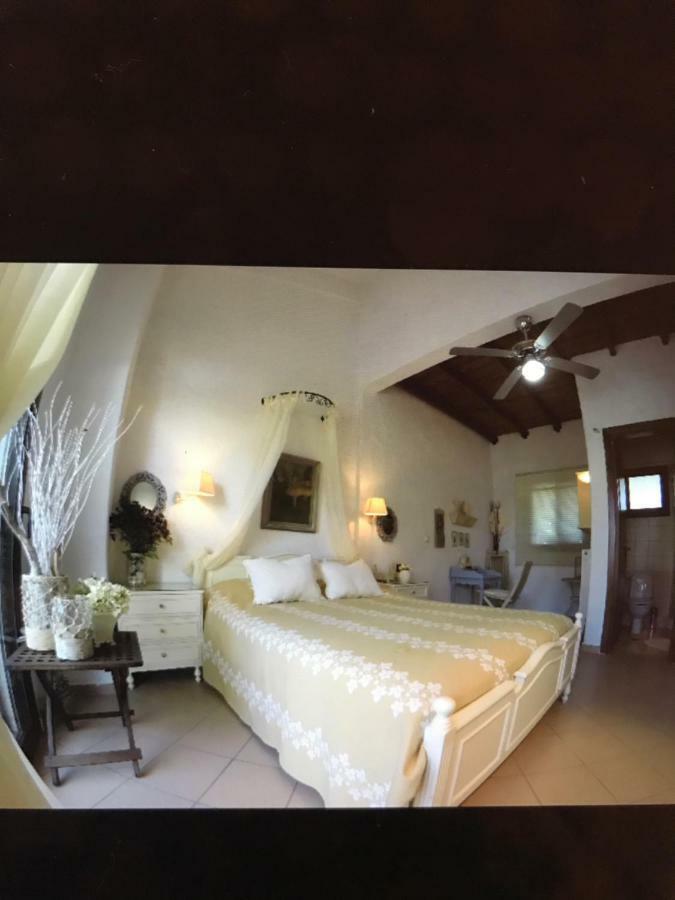 Elani Beautiful Villa 希维利 外观 照片