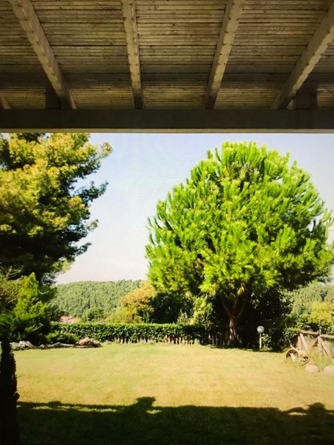 Elani Beautiful Villa 希维利 外观 照片
